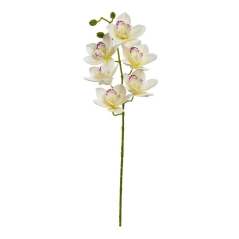 CIMBIDIUM 6 FIORI CM.68 BIANCO